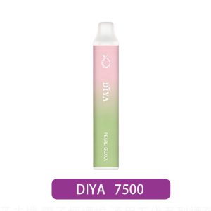 【DIYA 叮啞】7500口一次性電子煙|16種口味 Type-C|產品主圖|台灣現貨