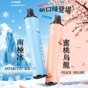 【KIS5】6500口一次性電子煙｜雙磁吸雙口味｜產品圖2｜台灣現貨