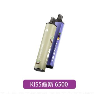 【KIS5】6500口一次性電子煙｜雙磁吸雙口味｜產品主圖｜台灣現貨