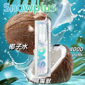 【Snowplus】DASH 4000口一次性電子煙｜陶瓷芯｜產品主圖｜台灣現貨