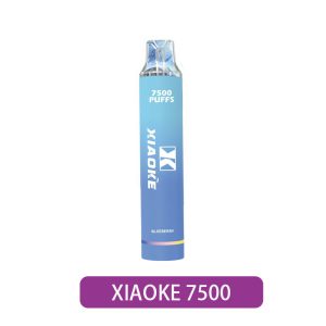 【XIAOKE】7500口一次性電子煙｜免充電即用｜產品主圖｜台灣現貨