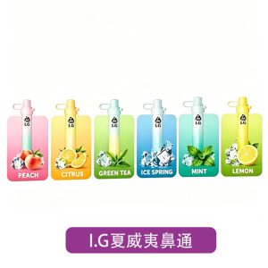 【I.G】鼻通棒｜薄荷／蜜桃／鐵觀音 6 口味｜產品圖2｜台灣現貨