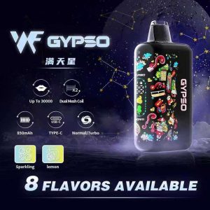 GYPSO 30000口一次性電子煙原廠防偽包裝盒與密封保護袋